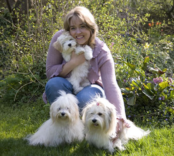 Bichon Havanais stueopdræt hos Kennel Miki Nanoq Bichon Havanais stueopdræt hos Kennel Miki Nanoq